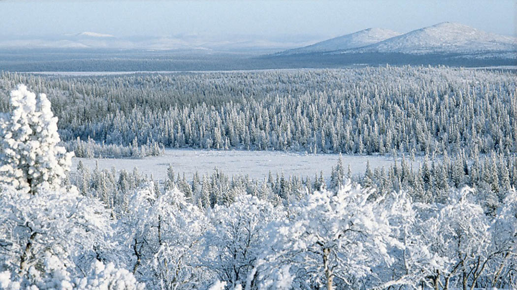 Muohttaga gokčan muoraid, vuolábealde ritni guosain. Guhkkin almmiravddas guokte bastilis duoddara čohka. Oainnus lea alitránes.